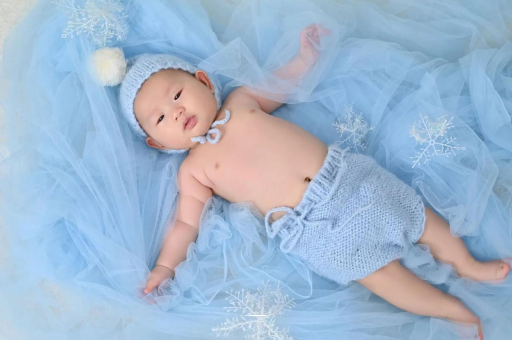 莱芜宝宝树怎么样 莱芜宝宝树怎么样